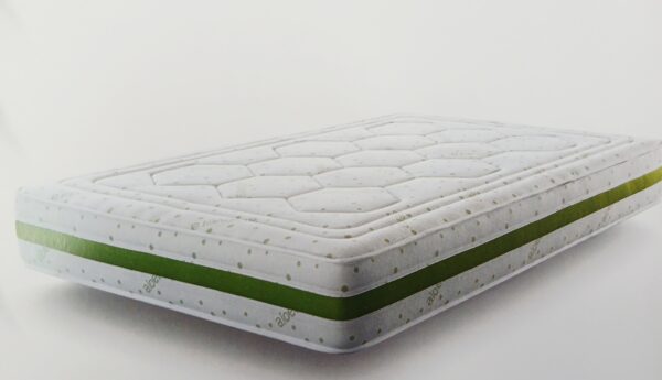 ALOE VERA 20